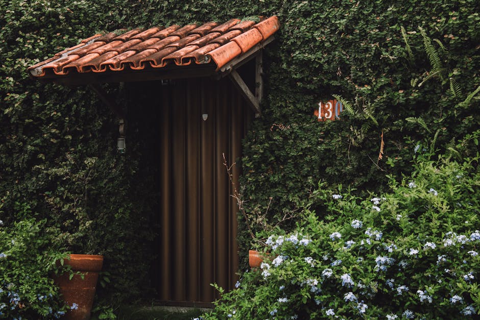 Premium dietary supplements for athletic performance