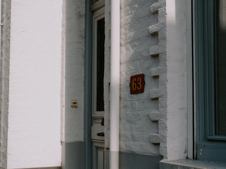 Essential vitamins and minerals for daily wellness